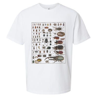 Insects Collection Species Bugs Vintage Chart Entomology Sueded Cloud Jersey T-Shirt