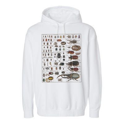 Insects Collection Species Bugs Vintage Chart Entomology Garment-Dyed Fleece Hoodie