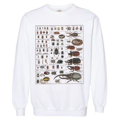 Insects Collection Species Bugs Vintage Chart Entomology Garment-Dyed Sweatshirt