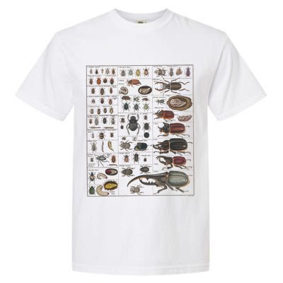 Insects Collection Species Bugs Vintage Chart Entomology Garment-Dyed Heavyweight T-Shirt