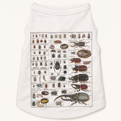 Insects Collection Species Bugs Vintage Chart Entomology Doggie Tank
