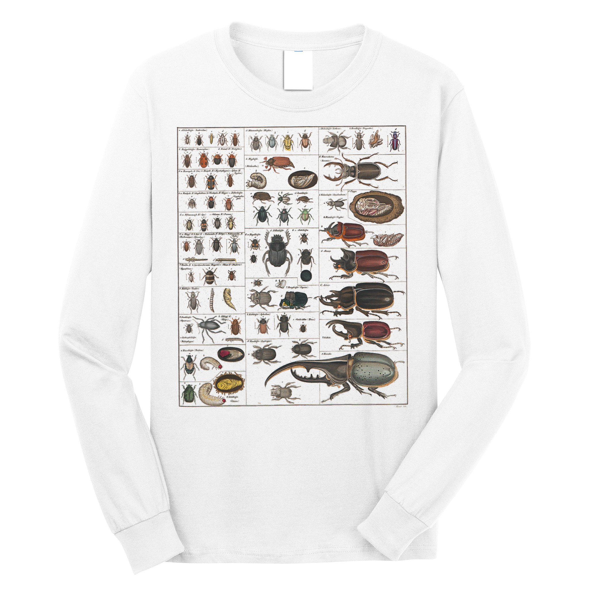 Insects Collection Species Bugs Vintage Chart Entomology Long Sleeve Shirt