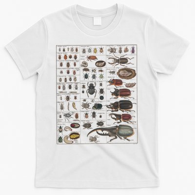 Insects Collection Species Bugs Vintage Chart Entomology T-Shirt