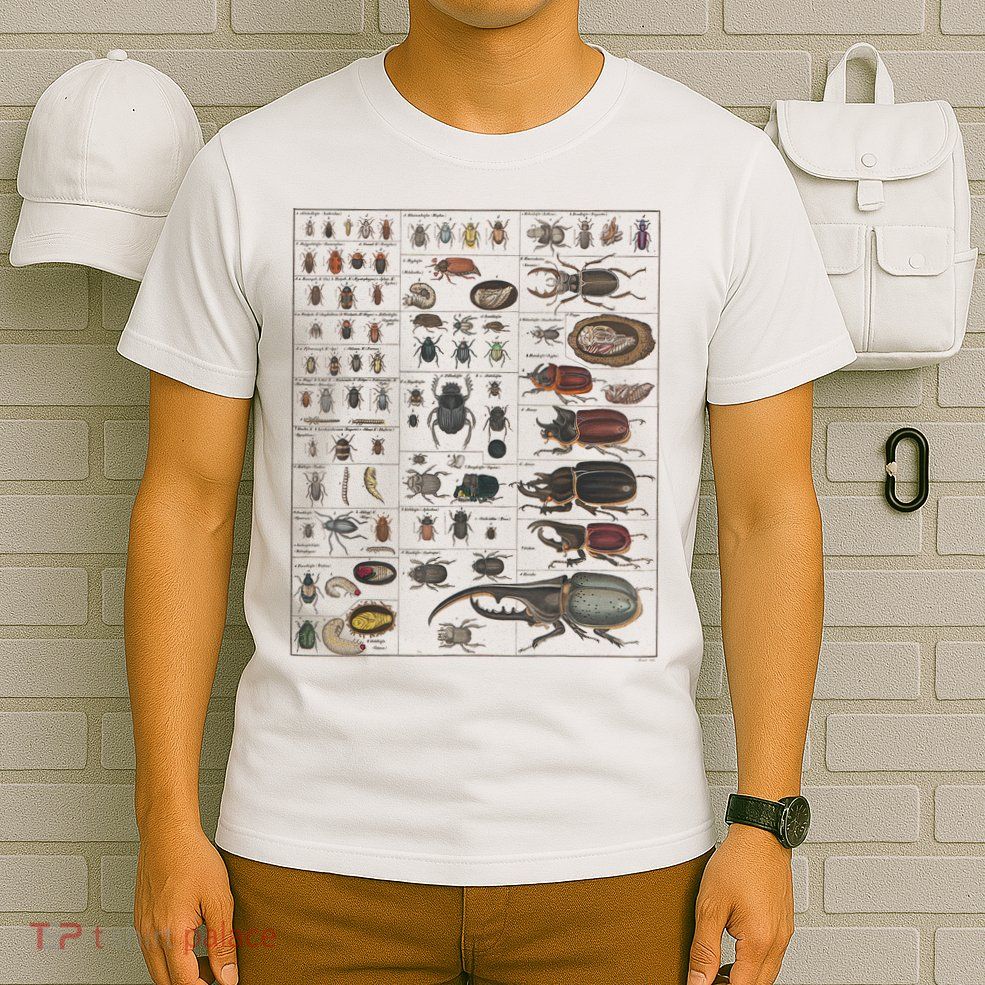 Insects Collection Species Bugs Vintage Chart Entomology T-Shirt