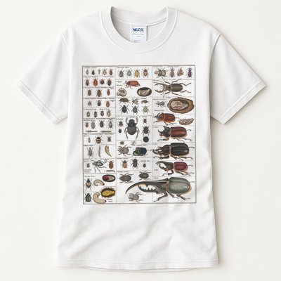 Insects Collection Species Bugs Vintage Chart Entomology Tall T-Shirt