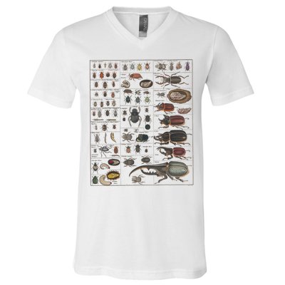 Insects Collection Species Bugs Vintage Chart Entomology V-Neck T-Shirt