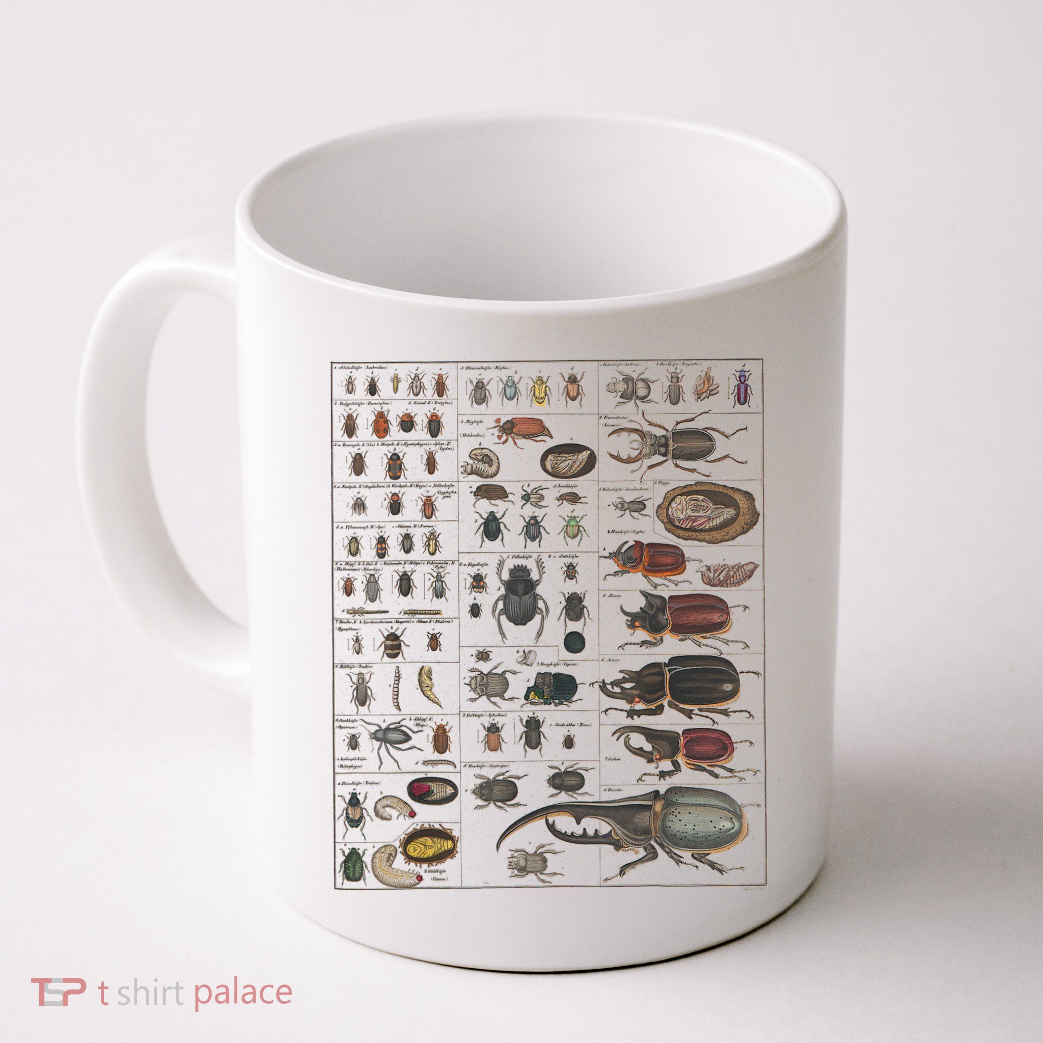 Insects Collection Species Bugs Vintage Chart Entomology Mug