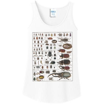 Insects Collection Species Bugs Vintage Chart Entomology Ladies Essential Tank