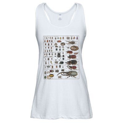 Insects Collection Species Bugs Vintage Chart Entomology Ladies Essential Flowy Tank