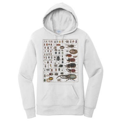 Insects Collection Species Bugs Vintage Chart Entomology Women's Pullover Hoodie