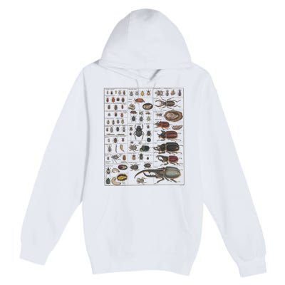 Insects Collection Species Bugs Vintage Chart Entomology Premium Pullover Hoodie