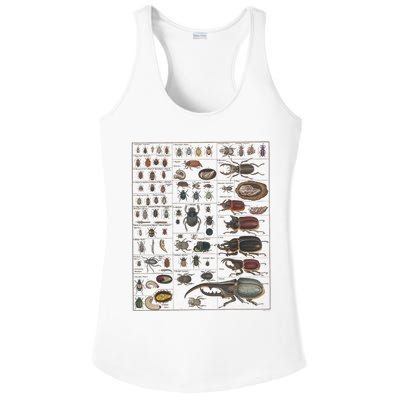 Insects Collection Species Bugs Vintage Chart Entomology Ladies PosiCharge Competitor Racerback Tank