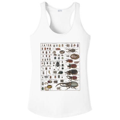 Insects Collection Species Bugs Vintage Chart Entomology Ladies PosiCharge Competitor Racerback Tank