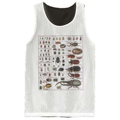 Insects Collection Species Bugs Vintage Chart Entomology Mesh Reversible Basketball Jersey Tank