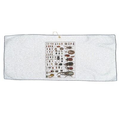 Insects Collection Species Bugs Vintage Chart Entomology Large Microfiber Waffle Golf Towel