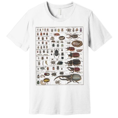 Insects Collection Species Bugs Vintage Chart Entomology Premium T-Shirt