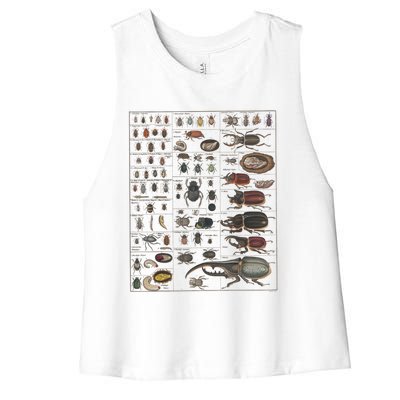 Insects Collection Species Bugs Vintage Chart Entomology Women's Racerback Cropped Tank