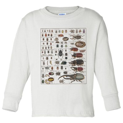 Insects Collection Species Bugs Vintage Chart Entomology Toddler Long Sleeve Shirt