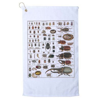 Insects Collection Species Bugs Vintage Chart Entomology Golf Towel