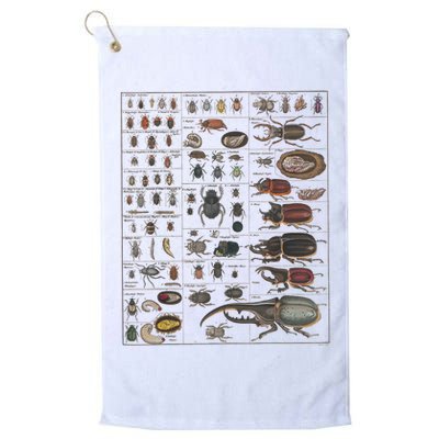 Insects Collection Species Bugs Vintage Chart Entomology Golf Towel