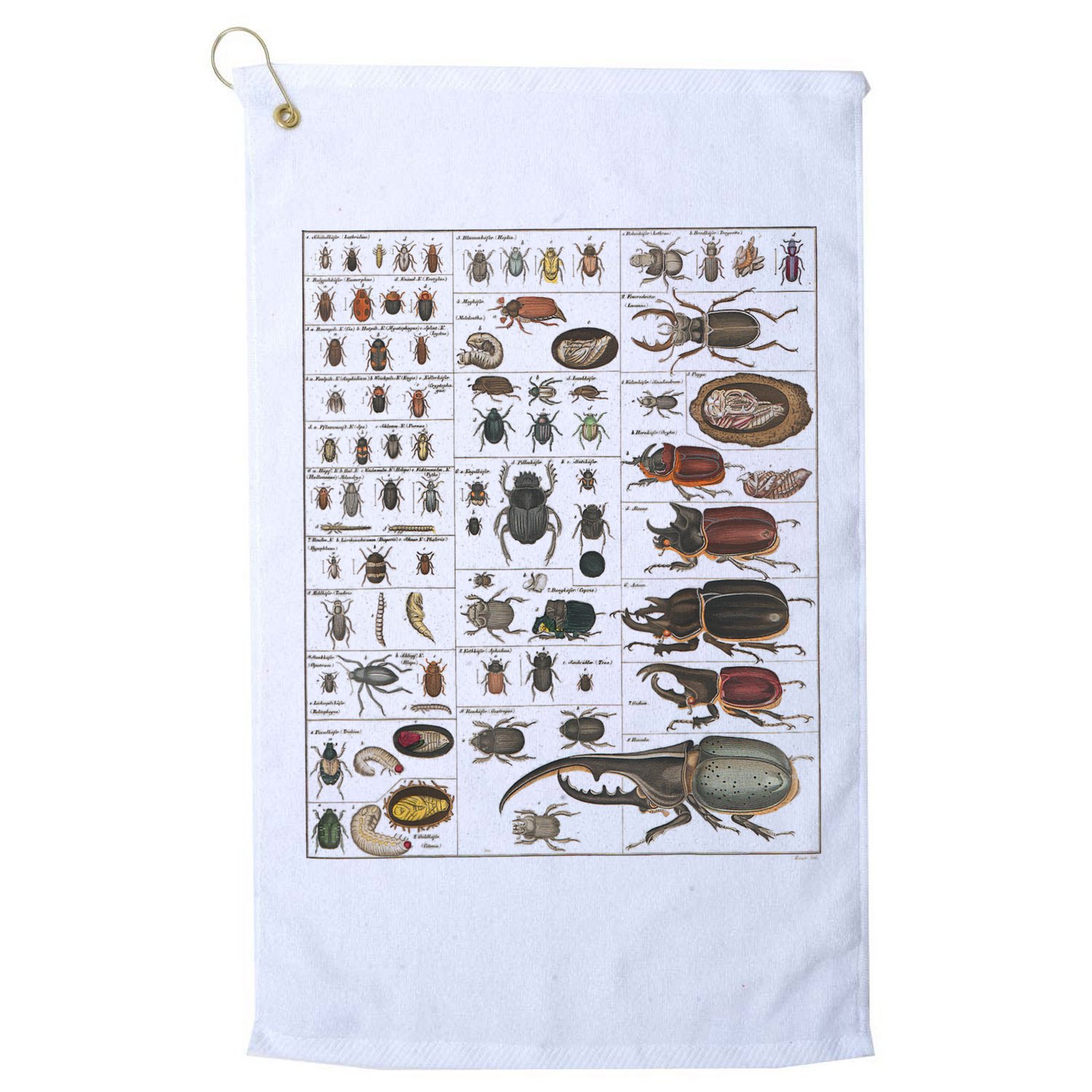Insects Collection Species Bugs Vintage Chart Entomology Golf Towel