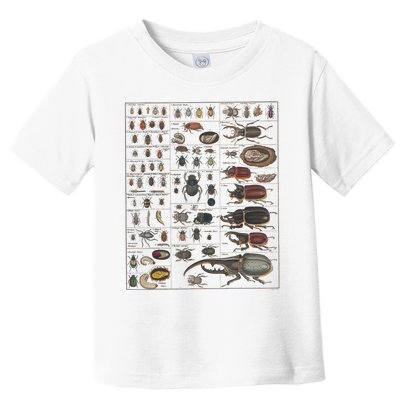 Insects Collection Species Bugs Vintage Chart Entomology Toddler T-Shirt