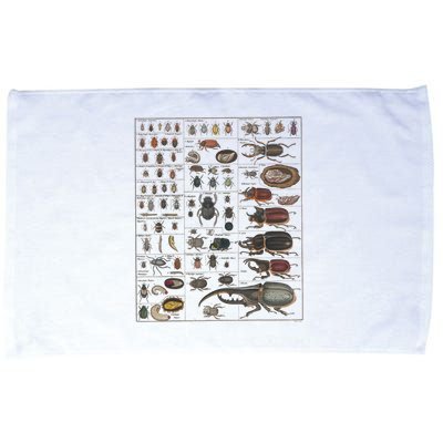 Insects Collection Species Bugs Vintage Chart Entomology Microfiber Hand Towel