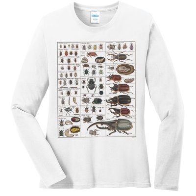 Insects Collection Species Bugs Vintage Chart Entomology Ladies Long Sleeve Shirt