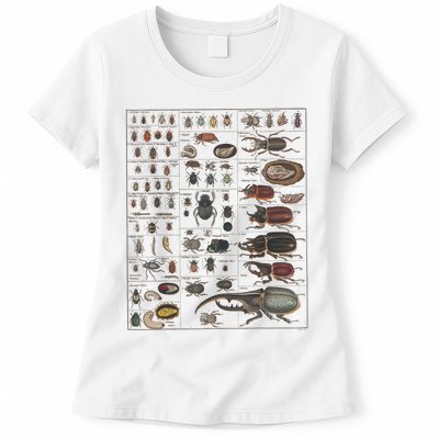 Insects Collection Species Bugs Vintage Chart Entomology Womens T-Shirt