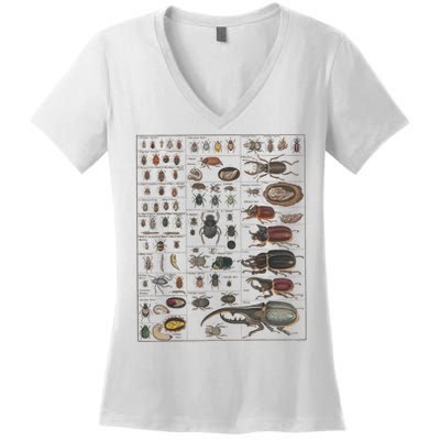 Insects Collection Species Bugs Vintage Chart Entomology Women's V-Neck T-Shirt