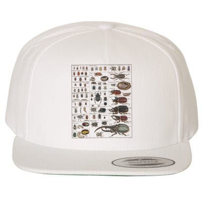 Insects Collection Species Bugs Vintage Chart Entomology Wool Snapback Cap