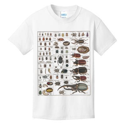 Insects Collection Species Bugs Vintage Chart Entomology Kids T-Shirt