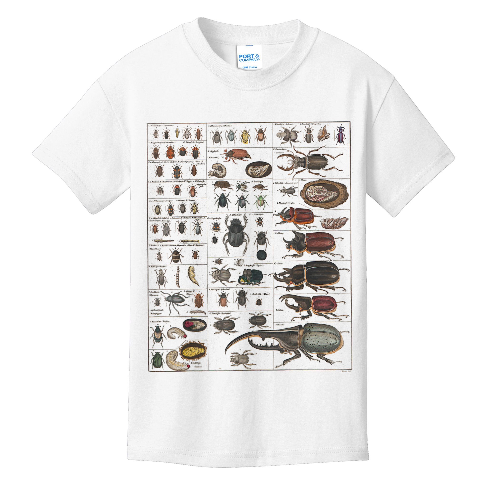 Insects Collection Species Bugs Vintage Chart Entomology Kids T-Shirt
