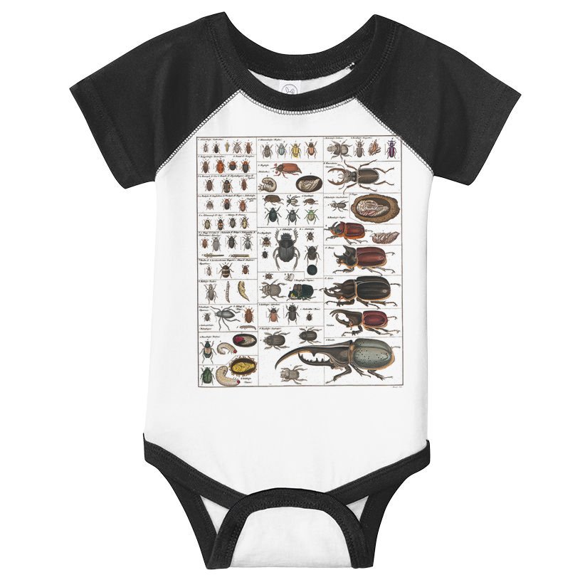 Insects Collection Species Bugs Vintage Chart Entomology Infant Baby Jersey Bodysuit