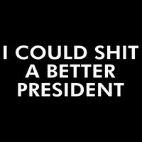 I Could Shit A Better President Bag
