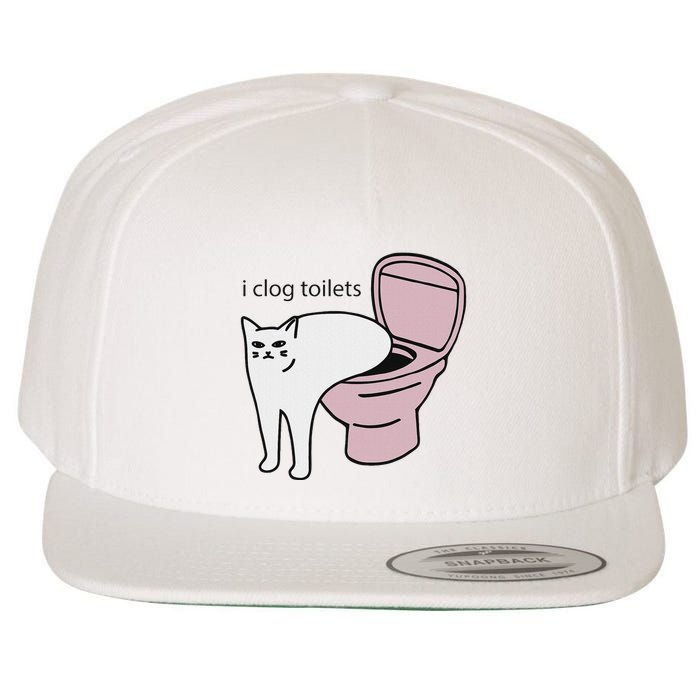I Clog Toilets Wool Snapback Cap