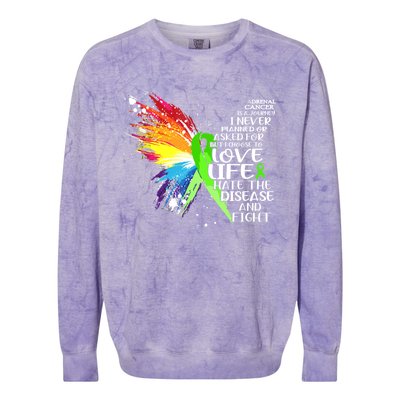 I Choose To Love Life And Fight Cute Gift Colorblast Crewneck Sweatshirt