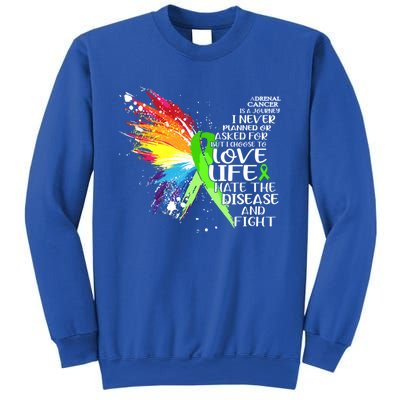 I Choose To Love Life And Fight Cute Gift Sweatshirt