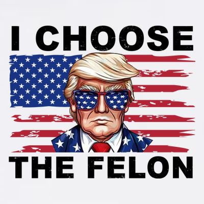 I Choose The Felon Pro Donald Trump T-Shirt