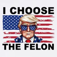 I Choose The Felon Pro Donald Trump Button