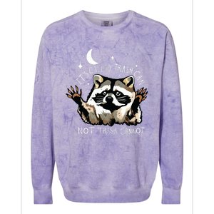 Its Called Trash Can Not Trash Cannot Funny Racoon Colorblast Crewneck Sweatshirt