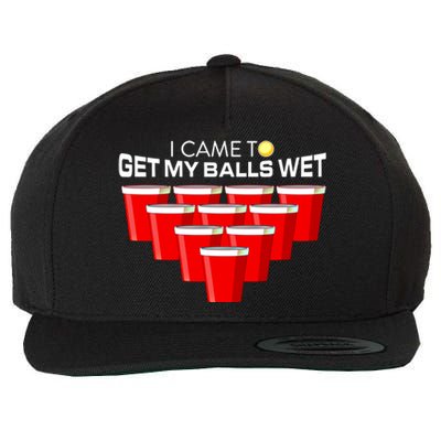 I Came To Get My Balls Wet Funny Beer Pong Lover Funny Gift Wool Snapback Cap