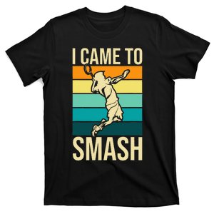 I Came To Smash Badminton Player Lover Birdie Shuttlecock T-Shirt