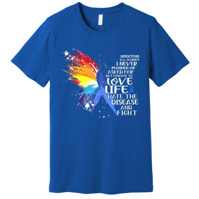 I Choose To Love Life And Fight Meaningful Gift Premium T-Shirt