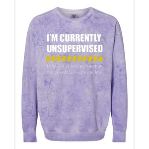 IM Currently Unsupervised I Know It Scares Me Too But The Possibilities Are End Colorblast Crewneck Sweatshirt