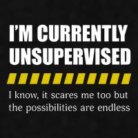 IM Currently Unsupervised I Know It Scares Me Too But The Possibilities Are End Ladies PosiCharge Tri-Blend Wicking Tank