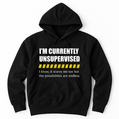 IM Currently Unsupervised I Know It Scares Me Too But The Possibilities Are End Hoodie