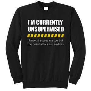 IM Currently Unsupervised I Know It Scares Me Too But The Possibilities Are End Sweatshirt