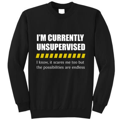 IM Currently Unsupervised I Know It Scares Me Too But The Possibilities Are End Sweatshirt