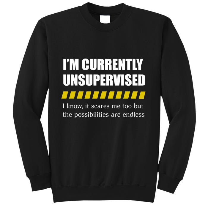IM Currently Unsupervised I Know It Scares Me Too But The Possibilities Are End Sweatshirt